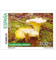 4517/18- *** - Micología, setas